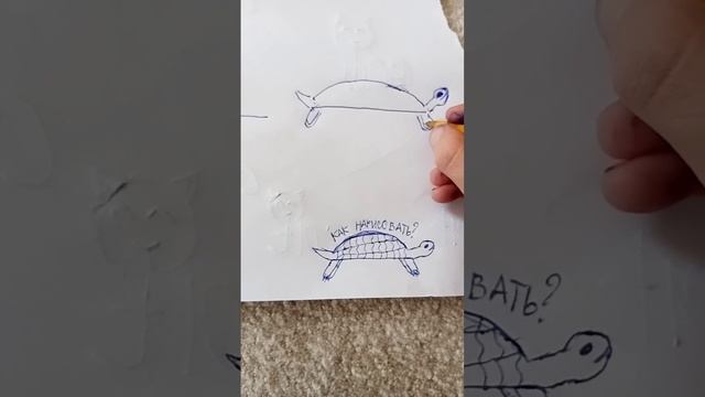 как нарисовать черепаху. смотреть онлайн