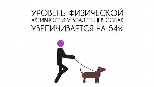 Домашние питомцы | Факты и Надежда смотреть онлайн