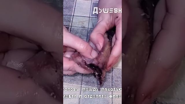 Как отделить филе селёдки от костей, легко и просто #shorts #рыбалка #рецепты смотреть онлайн