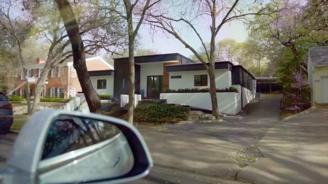 Discovering Austin: A Newcomer's Perspective