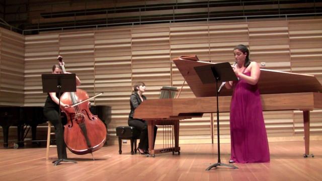 Vivaldi C minor Sonata смотреть онлайн