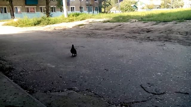 Поимавший ритм смотреть онлайн