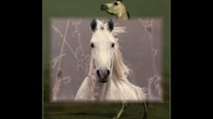 А.Розенбаум-"Серый, в яблоках, конь..."