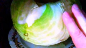 Кочан капусты в Микроволновке для голубцов.