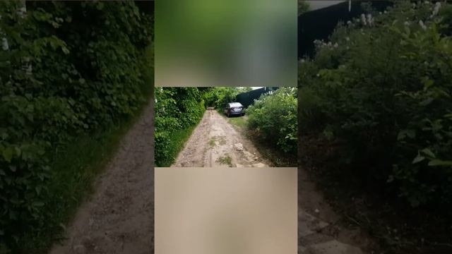 Как проходит мой день на даче летом. Чем лучше всего заниматься на даче подростку. смотреть онлайн