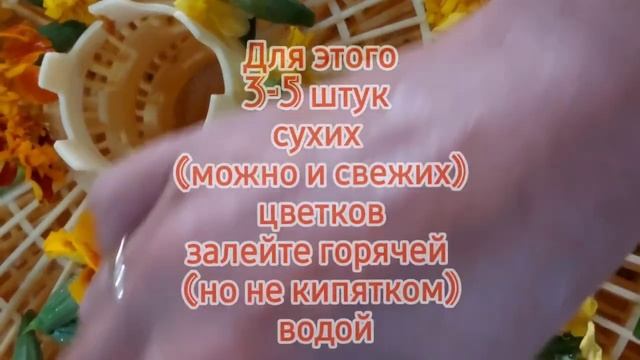 Каждый год заготавливаю эти цветы/Чай из бархатцев-вкусный и полезный