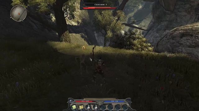 Divinity II Developer's Cut. Обзор-мнение. смотреть онлайн