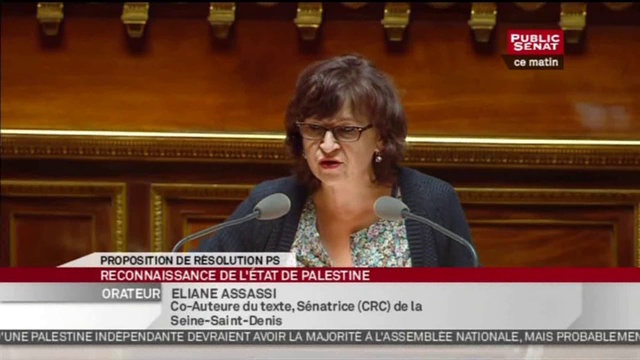 Sénat: Pour Le Groupe CRC Eliane ASSASSI Pour La Reconnaissance De L'Etat De Palestine