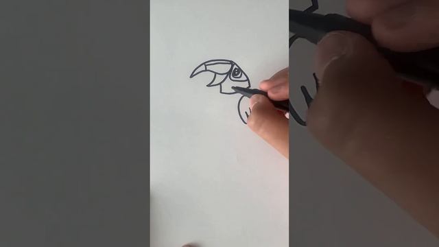 Тукан,как его нарисовать, тропическая птица. How to draw a toucan(bird) #howtodraw #drawing смотреть онлайн