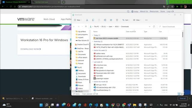 How to install kali linux on windows 11 using vmware. смотреть онлайн