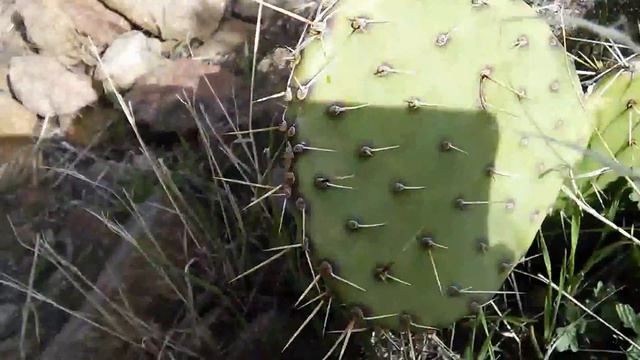 Лагуна 9 смотреть онлайн