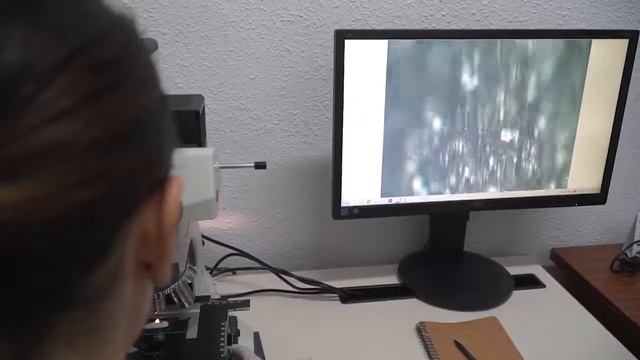 La Cueva de Nerja смотреть онлайн