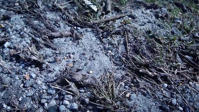 Glasses Off - An Enviromental Short Film смотреть онлайн