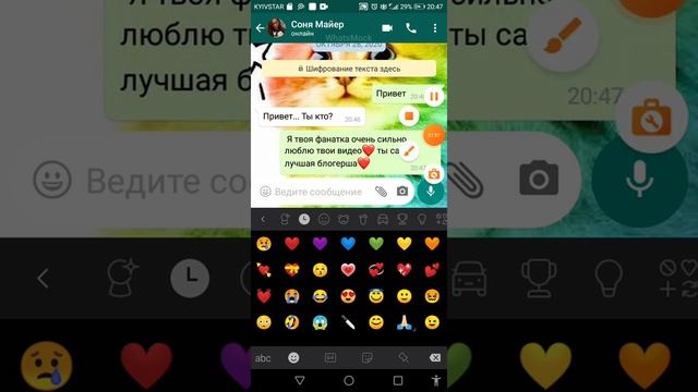 Переписка с Соней Майер! Она настоящая ? смотреть онлайн