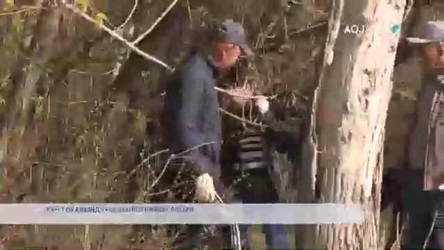 ХАН ТОҒАЙЫНДАҒЫ ЭКОЛОГИЯЛЫҚ АКЦИЯ смотреть онлайн