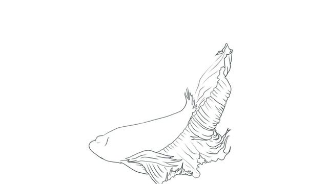 How To Draw A Fish (for young artists) \\ Как нарисовать рыбу смотреть онлайн