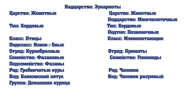 ГОМУНКУЛ ЧТО ЭТО ТАКОЕ ВСЯ ПРАВДА ЗДЕСЬ!!! смотреть онлайн