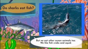 Meet the Animals 67: Mako Shark