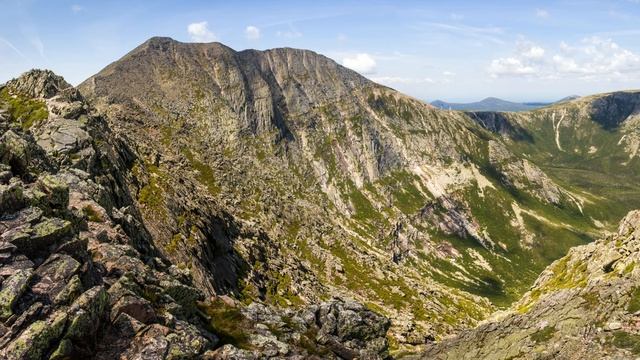 Tigerforest. Asylum Harbor смотреть онлайн