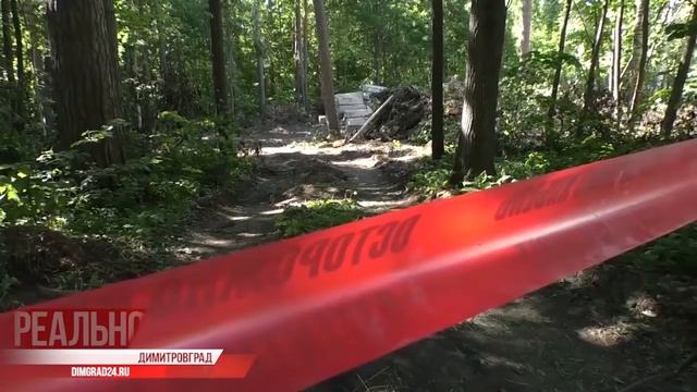 Госимущество и утрата доверия в Димитровграде смотреть онлайн