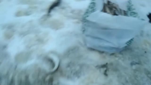 Рыбалка в ЛУДЕ! смотреть онлайн