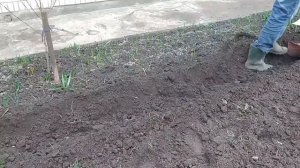 Посадка картофеля  культиватором. Краткий обзор навесного оборудования.