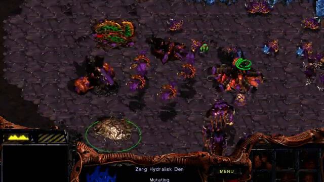 Let's Play StarCraft PT40 - Acne Pimple Zasz is DED! смотреть онлайн