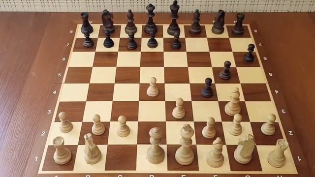 Шахматы Секретный способ ВЫИГРАТЬ у любого игрока! Шахматы ловушки в дебюте! смотреть онлайн