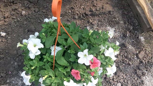 14 июня 2023 г.