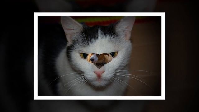 Ищут Дом! Беларусь 2018 смотреть онлайн