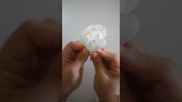 DIY paper peony смотреть онлайн