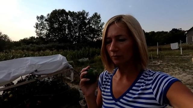 Дела садовые. Ясельная комиссия. Стройка смотреть онлайн