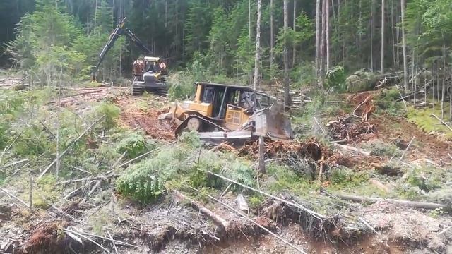 Лесозаготовительная техника САТ смотреть онлайн