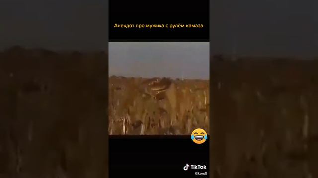 Ю человек с рулём от крузовика и мент с рулём от мапеда 🤣😂😂 смотреть онлайн