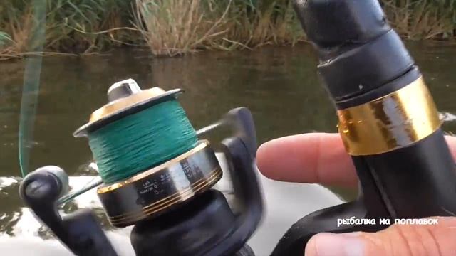 ТОРПЕДА ПРЁТ И НИТКА РЫПИТ! В НЁМ 10-ка НЕ МЕНЬШЕ! ВОТ ЭТО РЫБАЛКА! Рыбалка на белого амура на камы смотреть онлайн