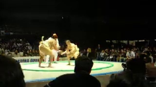 Trent Sabo - Sumo - Bigger isn't always better смотреть онлайн