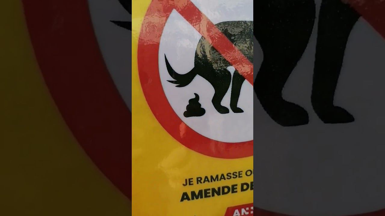 Штрафы во Франции смотреть онлайн