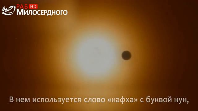 Хорошое напоминание для людей уверовавших. смотреть онлайн