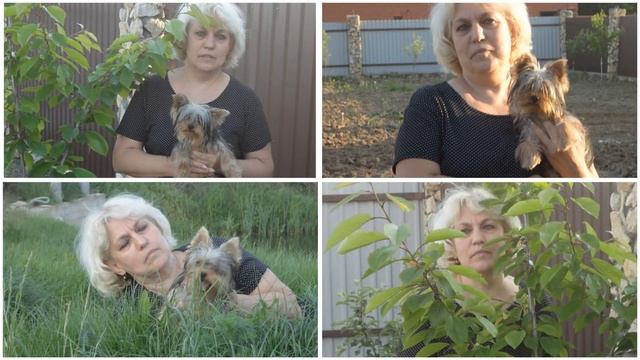 Любимой учительнице посвящается! смотреть онлайн