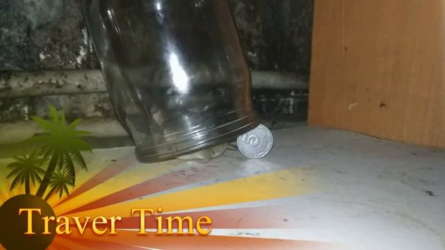 Ловушка для мышей))) Как поймать мышь с помощью банки))) смотреть онлайн