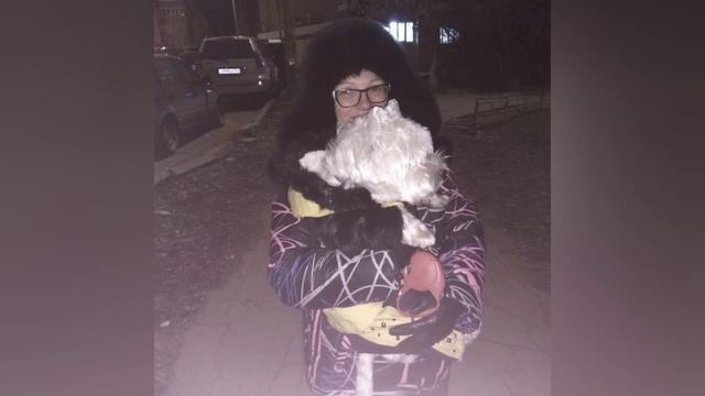 Ура!!! поздравляем! Тимати исполнилось 8 лет!!! #westie #вестик #вест_хайленд_вайт_терьер смотреть онлайн