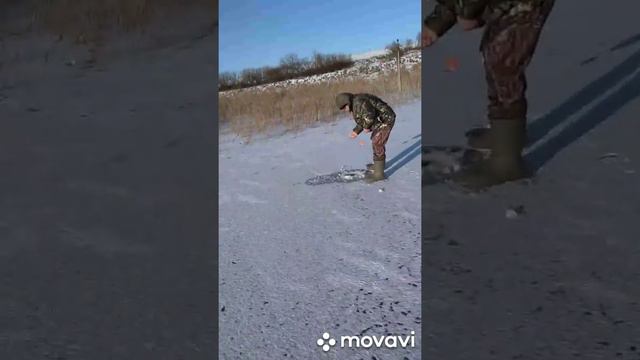 ПЕРВЫЙ ЛЁД. Первая в жизни рыбалка зимой, первый раз на жерлицы. БЫВАЕТ И ТАКОЕ ))👍 смотреть онлайн