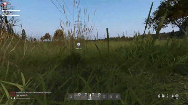 И снова Лил дупа...