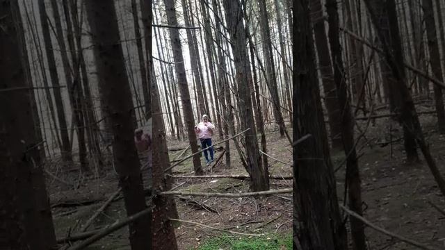 тихая охота