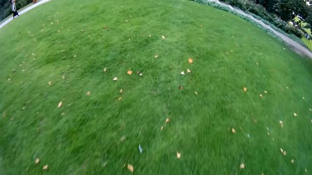 One day Parkour & Freerunning Planten un Blomen Hamburg смотреть онлайн