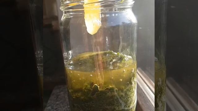 Бессмертный Эликсир из алоэ и меда смотреть онлайн