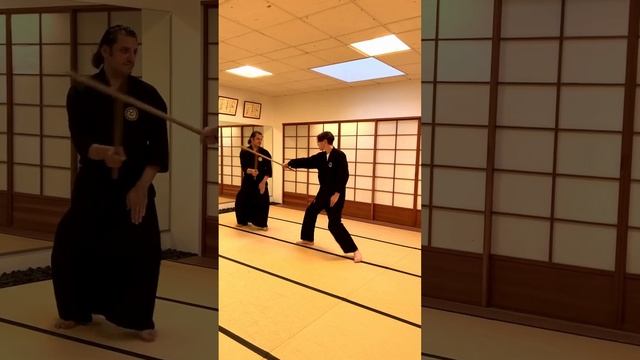 Tosei Ryu - Basic Tsuki counter смотреть онлайн