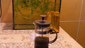 Красим леску чаем