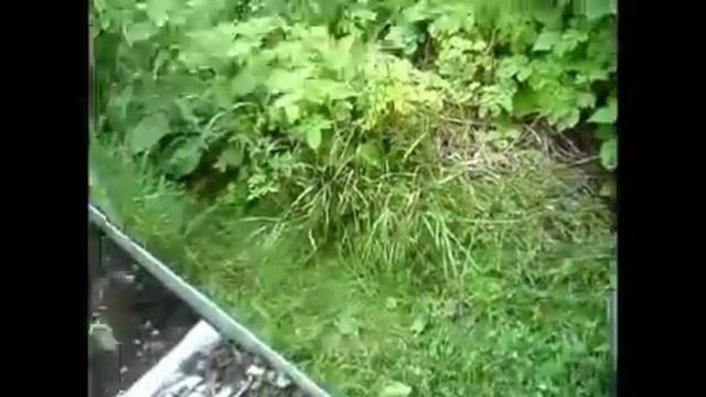 Картофель под сеном (Мудрая Земля) смотреть онлайн