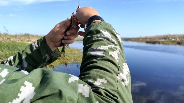 Болотоход с гибким валом смотреть онлайн